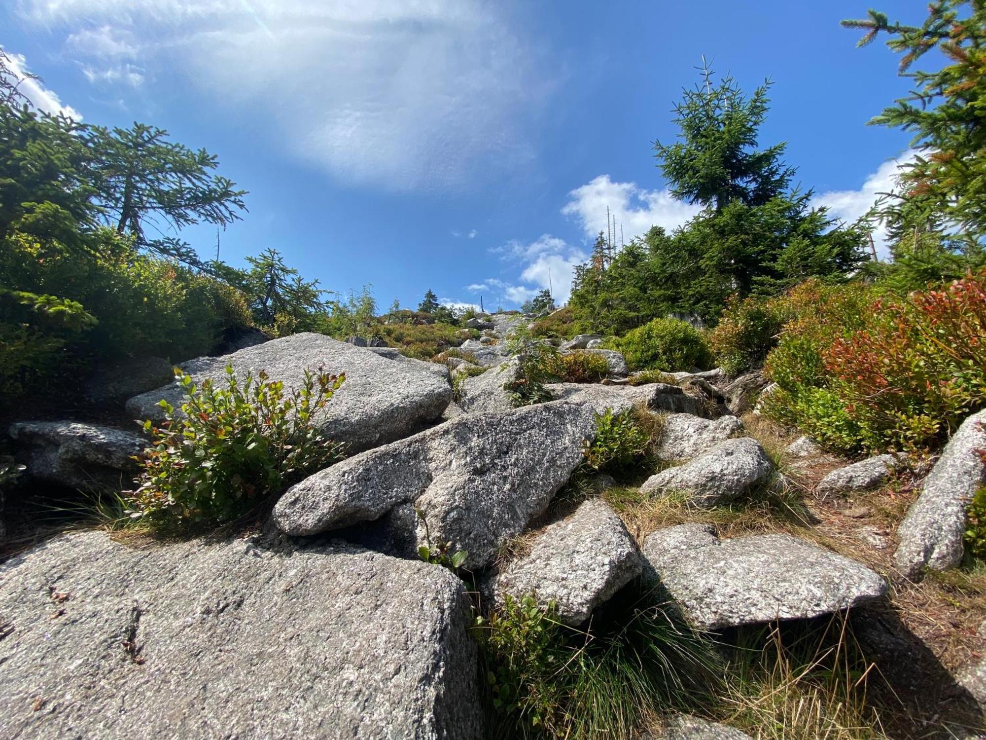 Ferienhaus Lebenskraft Pfaffetschlag Esterno foto